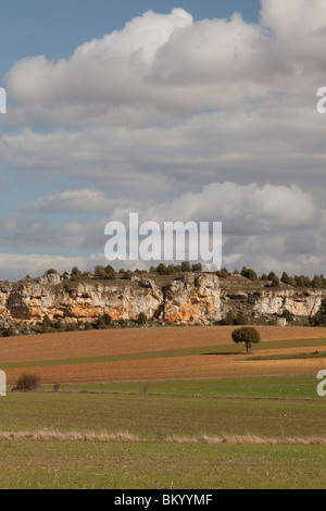 Terra di raccolto vicino a Calatañazor, Soria, Spagna / Cultivos alrededor de Calatañazor, Soria, España Foto Stock