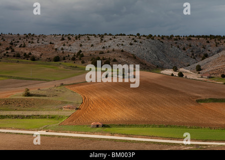 Terra di raccolto vicino a Calatañazor, Soria, Spagna / Cultivos alrededor de Calatañazor, Soria, España Foto Stock