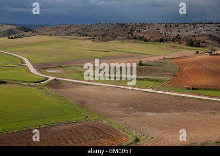 Terra di raccolto vicino a Calatañazor, Soria, Spagna / Cultivos alrededor de Calatañazor, Soria, España Foto Stock