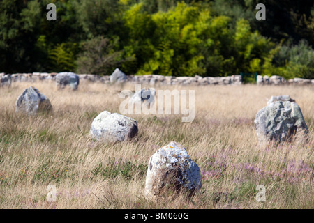 Allineamento megalitico di Menec, città di Carnac, departament del Morbihan, in Bretagna, Francia Foto Stock