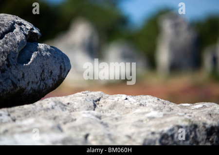 Allineamento megalitico di Menec, città di Carnac, departament del Morbihan, in Bretagna, Francia Foto Stock