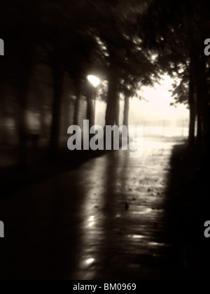 Sole che splende attraverso gli alberi su un buio avenue Foto Stock