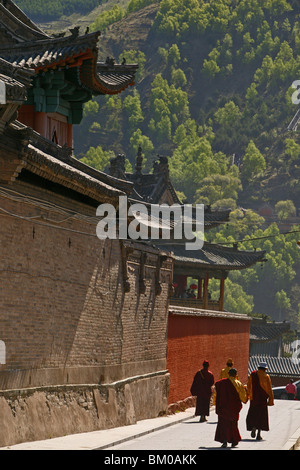 Le alte mura del monastero Xiantong monaci buddisti, cortile, durante la festa del compleanno di Wenshu, Xiantong Monastero, Wutai Shan, cinque Ter Foto Stock