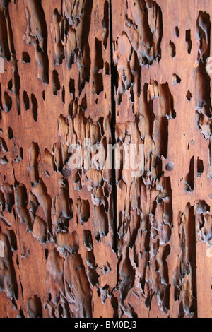 Dettaglio di una porta di legno con fori, il monastero di Santa Catalina, Arequipa, Perù Foto Stock