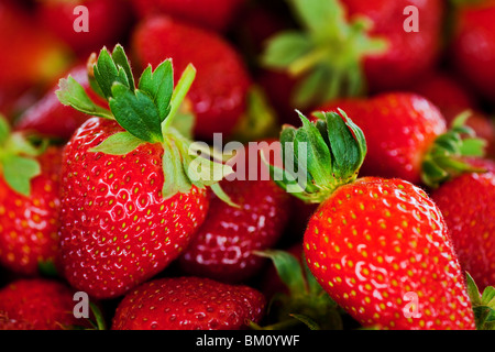 Ripe rosso fragole con steli e foglie Foto Stock