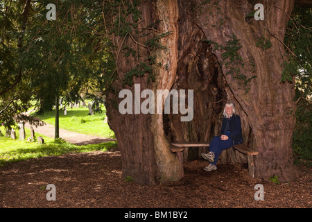 Regno Unito, Inghilterra, Herefordshire, molto Marcle, San Bartolomeo del sagrato, donna seduto sul sedile all'interno della vecchia cava di yew tree Foto Stock