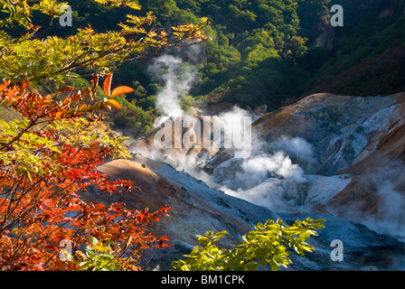 Fumarole di vapore nel Jigokudani area geotermica, Noboribetsu Onsen, Shikotsu-Toya National Park, Hokkaido, Giappone Foto Stock