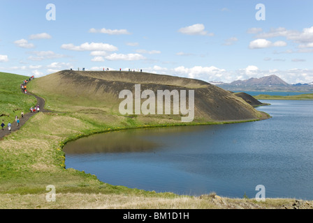 Sradicate cratere, Skutustadir, estremità sud del Lago Myvatn, Islanda, regioni polari Foto Stock