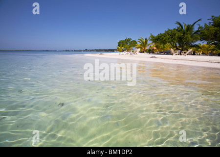 Bando Beach, Utila, isole di Bay, Honduras, America Centrale Foto Stock