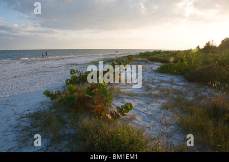 Tramonto sulla spiaggia, Sanibel Island, costa del Golfo della Florida, Stati Uniti d'America, America del Nord Foto Stock