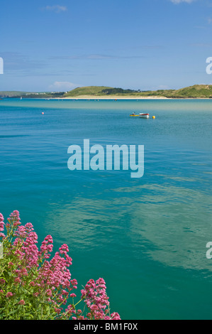 Fiume estuario del cammello, North Cornwall, England, Regno Unito Foto Stock