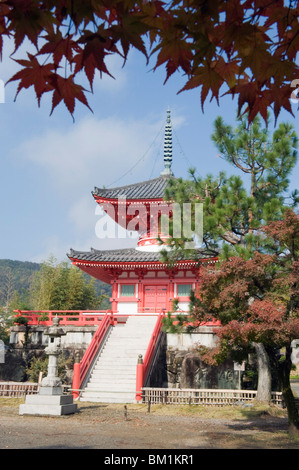 I colori autunnali a Daikaku ji (Daikakuji) tempio risalente al 876, area Sagano, Kyoto, Giappone, Asia Foto Stock