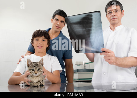 Vet esaminando un gatto x-ray Foto Stock