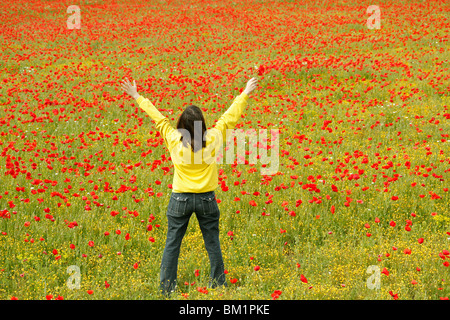 Godendo di un campo di papaveri Foto Stock