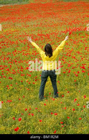 Godendo di un campo di papaveri Foto Stock
