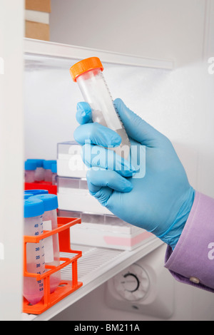 Medico in possesso di un campione di medici in un laboratorio Foto Stock