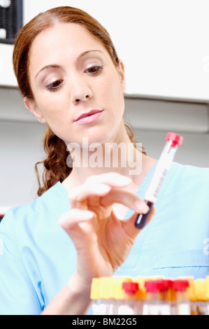 Femmina tecnico di laboratorio azienda campione di sangue in un tubo di prova Foto Stock