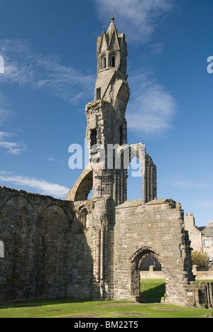 St Andrews cattedrale, Fife, Scozia, Regno Unito, Europa Foto Stock