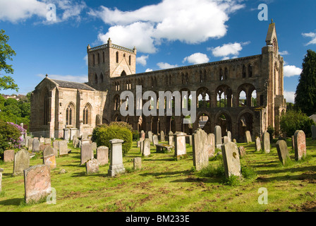 Jedburgh Abbey, Jedburgh Scozia, Regno Unito, Europa Foto Stock