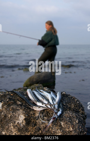 Pescatore femmina con catturato Aguglia (Belone belone), Germania Foto Stock