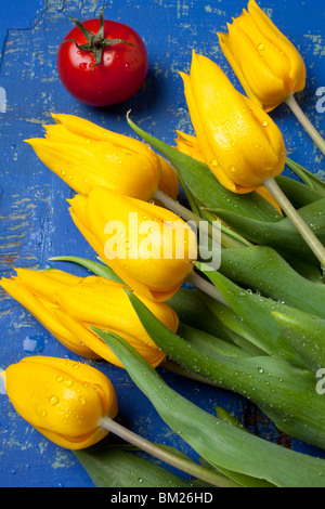 Tomato and yellow tulips Foto Stock