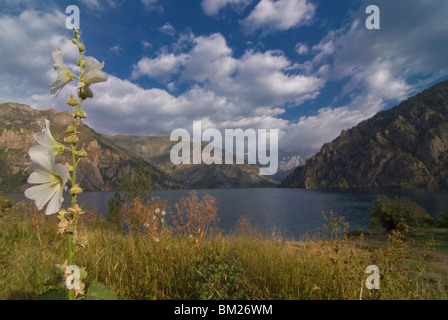 Sary Chelek UNESCO Riserva della Biosfera, Kirghizistan, Asia centrale Foto Stock