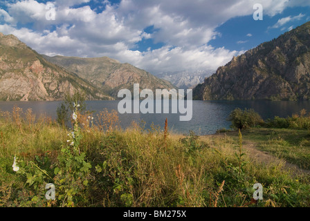 Sary Chelek Riserva della Biosfera dall'UNESCO, Kirghizistan, Asia centrale Foto Stock