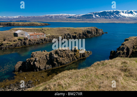 Tipico paesaggio del fiordo sulla costa, Vopnafjordur, Islanda, regioni polari Foto Stock