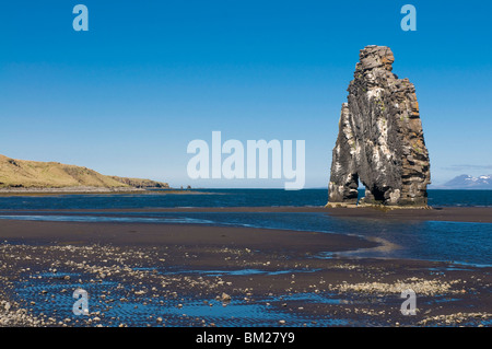 Famoso Hvitserkur rock formazione in mare, penisola di Vatnsnes, Islanda, regioni polari Foto Stock