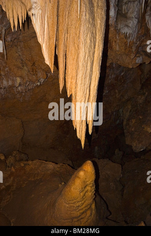 Stalattiti a Ngilgi Grotta, Augusta-Margaret fiume Shire, Australia Foto Stock