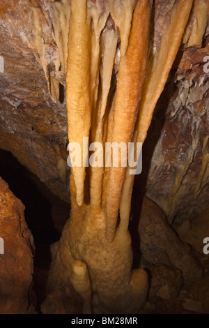 Stalattiti a Ngilgi Grotta, Augusta-Margaret fiume Shire, Australia Foto Stock