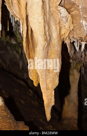 Stalattiti con drappeggi e cannucce a Ngilgi Grotta, Australia occidentale, Australia Foto Stock