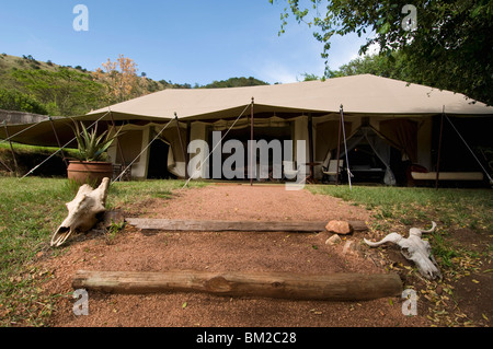 Collari 1920 Safari Camp, il Masai Mara riserva nazionale, Kenya, Africa orientale Foto Stock