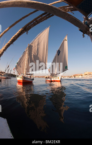 Feluche navigando sul fiume Nilo vicino a Aswan, Egitto Foto Stock