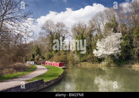 Una boccola bianca, luminoso sotto il cielo blu, in corrispondenza di una piega sul Kennet and Avon canal. Foto Stock