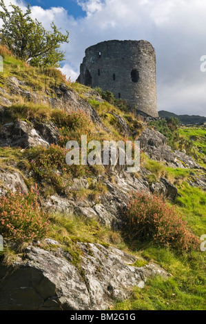 Il mantenere abbandonati di Dolbadarn Castle sulle rive del Llyn Padarn vicino a Llanberis, Parco Nazionale di Snowdonia, Wales, Regno Unito Foto Stock