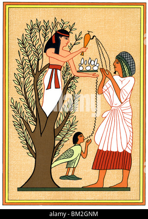 La dea egizia Mut versa acqua dal sicomoro oltre il defunto e la sua anima. Foto Stock