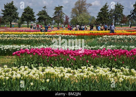 Festival del tempo dei tulipani Olanda, Michigan negli Stati Uniti, persone che ammirano il colorato campo di tulipani che fioriscono nei giardini pubblici durante una fiera commerciale ad alta risoluzione Foto Stock