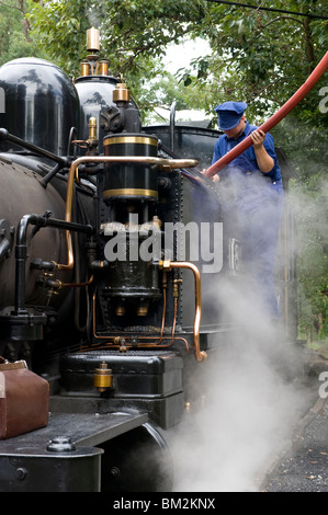 Una locomotiva a vapore del Puffing Billy ferrovie a vapore nel Dandenongs vicino a Melbourne, Victoria, Australia Foto Stock