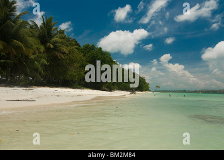 La spiaggia incontaminata, Havelock Island Isole Andamane, India, Oceano Indiano Foto Stock