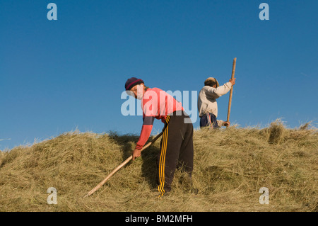 Famiglia di agricoltori che lavorano sul campo, Sary Tash, Kirghizistan Foto Stock