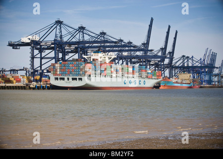 Porto di Felixstowe contenitore porta,Suffolk, Regno Unito Foto Stock