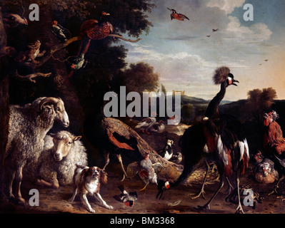 Animali da l'Arca di Noè da Melchior d'Hondecoeter, (1636-1695) Foto Stock