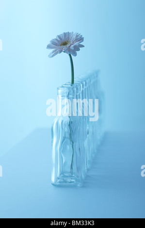 Fila di svuotare le bottiglie di vetro, uno con gerbera daisy, sfondo blu Foto Stock