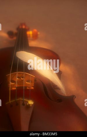 Giù sul violino, soft focus Foto Stock