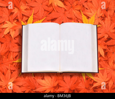 Libro bianco su foglie di acero in rosso, spazio di copia Foto Stock