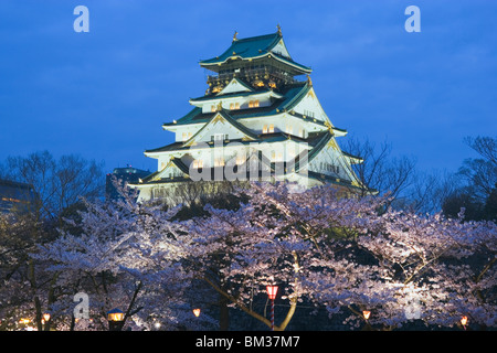 Il Castello di Osaka e fiori di ciliegio nella notte, osaka city, nella prefettura di Osaka, Giappone Foto Stock