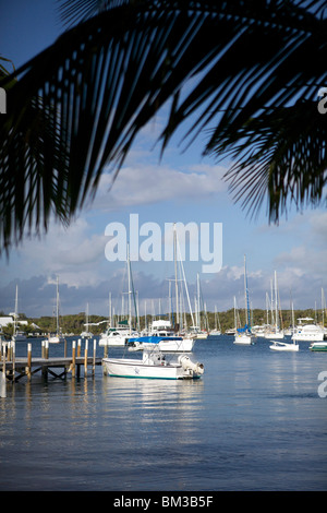 Una varietà di imbarcazioni a vela ancorata in alto nella speranza comune ancoraggio a gomito Cay in Abacos, Bahamas. Foto Stock