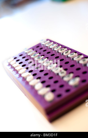 Punte di pipetta su un vassoio Foto Stock