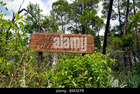 La Turchia Creek fluisce nella laguna del fiume Indian a Palm Bay in Florida Foto Stock